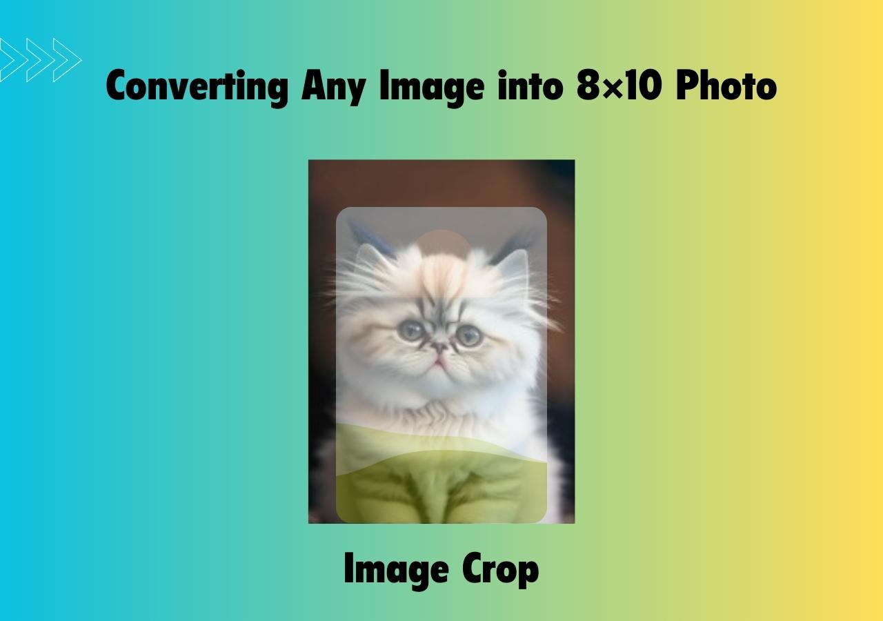 Is It Possible to Convert Any Image into an 8×10 photo