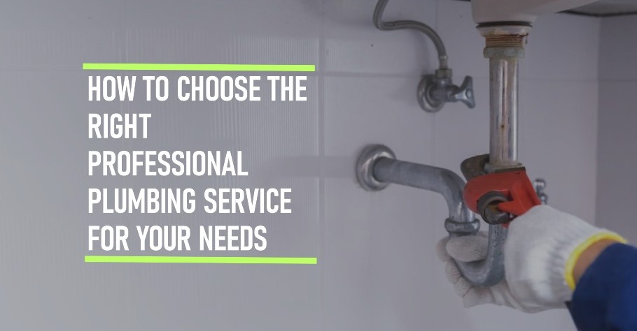Professional Plumbing Service